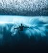 Ocean Photography of the Year Award - Bento Photographer