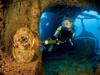 last-diver-uss-saratoga-by-reinhard-dirscherl-at-bikini-atoll-2008