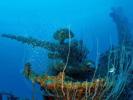 sting-of-the-submarine-wreck-of-uss-apagon-by-reinhard-dirscherl-at-bikini-atoll-2008