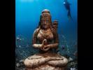 coral-goddes-by-imran-ahmad-at-pemuteran-indonesia-2011-02