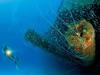 warning-from-underneath-wreck-of-uss-arkhansas-by-reinhard-dirscherl-at-bikini-atoll-2008