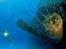 warning-from-underneath-wreck-of-uss-arkhansas-by-reinhard-dirscherl-at-bikini-atoll-2008