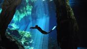 blue-within-by-aaron-wong-at-grand-cenote-mexico-2011